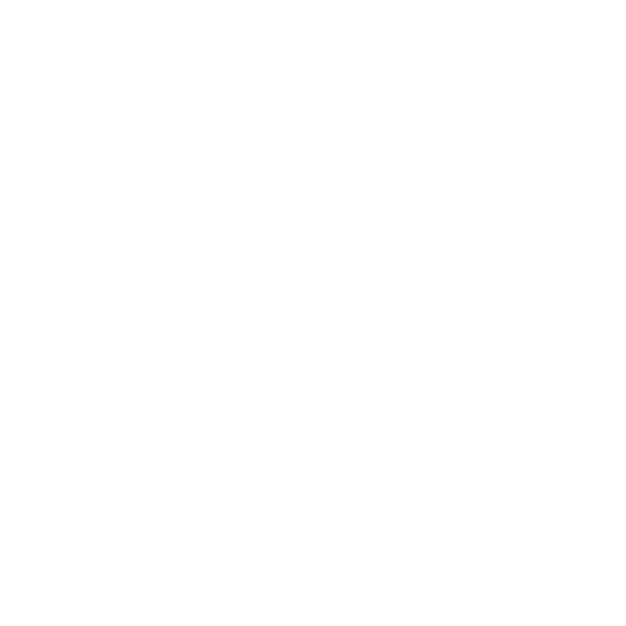Erşah Özel Güvenlik